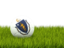 Flag of state of Massachusetts. Football in grass. Download icon
