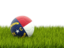Flag of state of North Carolina. Football in grass. Download icon