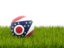 Flag of state of Ohio. Football in grass. Download icon