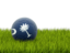 Flag of state of South Carolina. Football in grass. Download icon