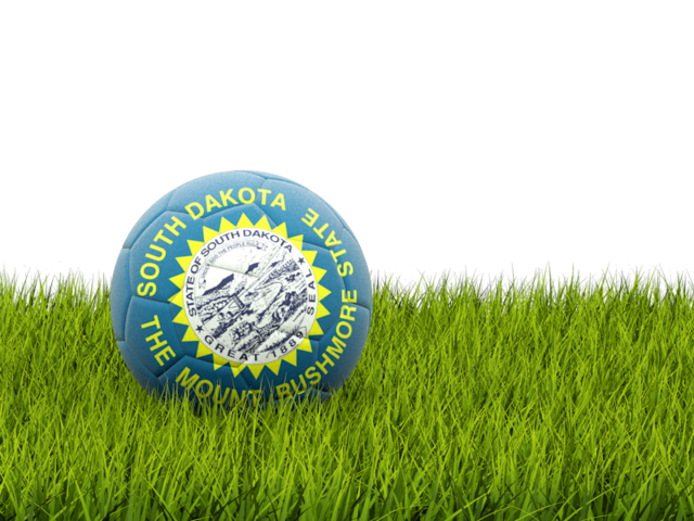 Футбольная мяч в траве. Загрузить иконку флага штата Южная Дакота