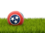 Flag of state of Tennessee. Football in grass. Download icon