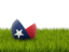 Flag of state of Texas. Football in grass. Download icon