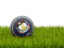 Flag of state of Utah. Football in grass. Download icon