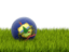 Flag of state of Vermont. Football in grass. Download icon