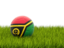 Vanuatu. Football in grass. Download icon.