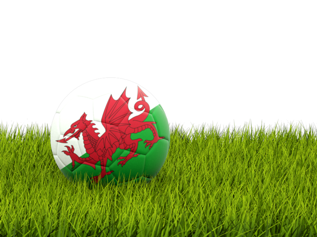 Football in grass. Download flag icon of Wales at PNG format