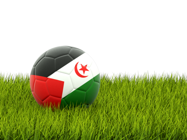 Football in grass. Download flag icon of Western Sahara at PNG format