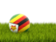 Zimbabwe. Football in grass. Download icon.