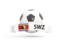 Swaziland. Football with banner. Download icon.