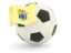 Flag of state of New Jersey. Football with flag. Download icon