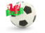 Wales. Football with flag. Download icon.