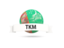 Turkmenistan. Football with flag and banner. Download icon.