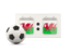 Wales. Football with scoreboard. Download icon.