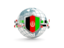 Afghanistan. Globe with shield. Download icon.