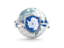 Antarctica. Globe with shield. Download icon.