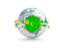 Cocos Islands. Globe with shield. Download icon.