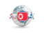 North Korea. Globe with shield. Download icon.