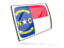 Flag of state of North Carolina. Glossy rectangular icon. Download icon