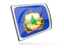 Flag of state of Vermont. Glossy rectangular icon. Download icon