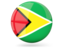 Guyana. Glossy round icon. Download icon.