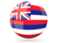 Flag of state of Hawaii. Glossy round icon. Download icon