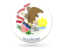 Flag of state of Illinois. Glossy round icon. Download icon