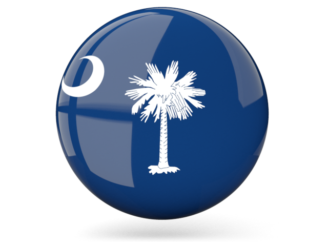 Glossy round icon. Download flag icon of South Carolina