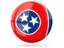 Flag of state of Tennessee. Glossy round icon. Download icon