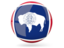 Flag of state of Wyoming. Glossy round icon. Download icon