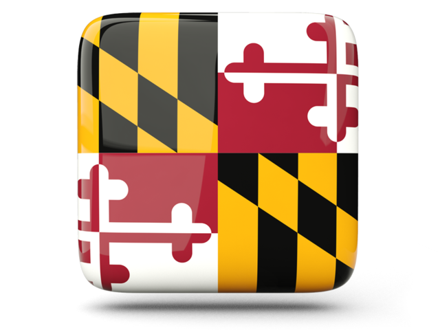 Maryland Flag Pattern / Iced Coffee Cooler