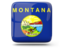 Flag of state of Montana. Glossy square icon. Download icon