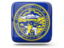 Flag of state of Nebraska. Glossy square icon. Download icon