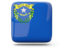 Flag of state of Nevada. Glossy square icon. Download icon