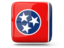 Flag of state of Tennessee. Glossy square icon. Download icon