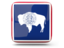 Flag of state of Wyoming. Glossy square icon. Download icon