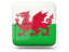 Wales. Glossy square icon. Download icon.