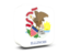 Flag of state of Illinois. Glossy square icon 3d. Download icon