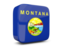Flag of state of Montana. Glossy square icon 3d. Download icon