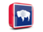 Flag of state of Wyoming. Glossy square icon 3d. Download icon