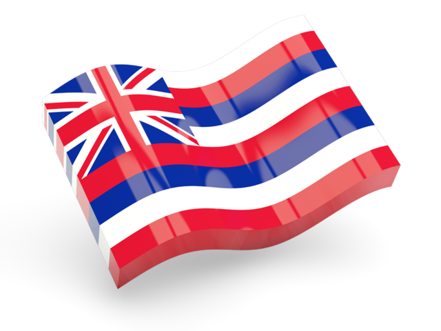 Glossy wave icon. Download flag icon of Hawaii