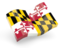 Flag of state of Maryland. Glossy wave icon. Download icon