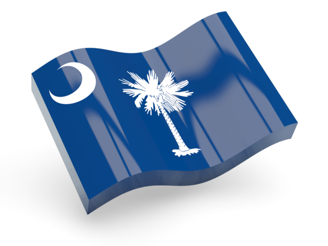 Glossy wave icon. Download flag icon of South Carolina