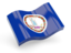 Flag of state of Virginia. Glossy wave icon. Download icon