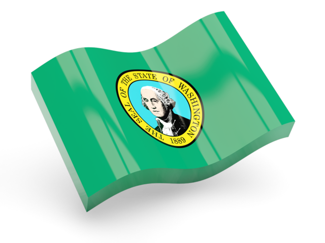 Glossy wave icon. Download flag icon of Washington