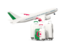 Algeria. Luggage with airplane. Download icon.