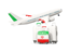 Iran. Luggage with airplane. Download icon.