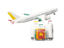 Sri Lanka. Luggage with airplane. Download icon.