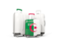 Algeria. Luggage with flag. Download icon.