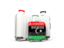 Libya. Luggage with flag. Download icon.